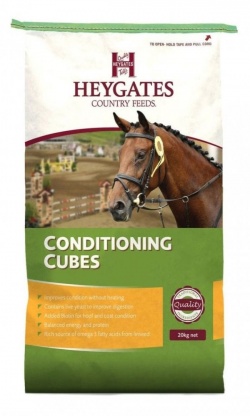 Heygates Conditioning Cubes with Live Yeast